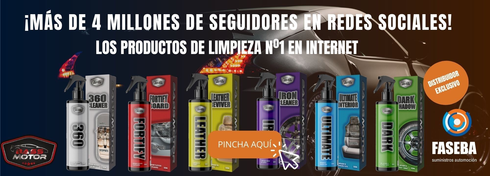 Productos de limpieza líderes en Internet